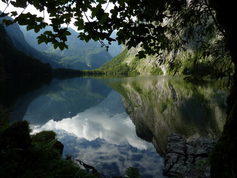 reflejos de placidez