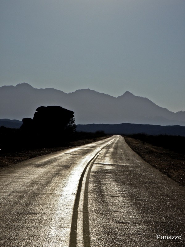 El Camino del Desierto