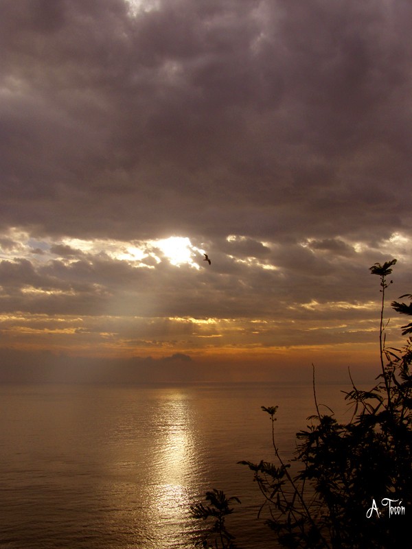 Amanece459