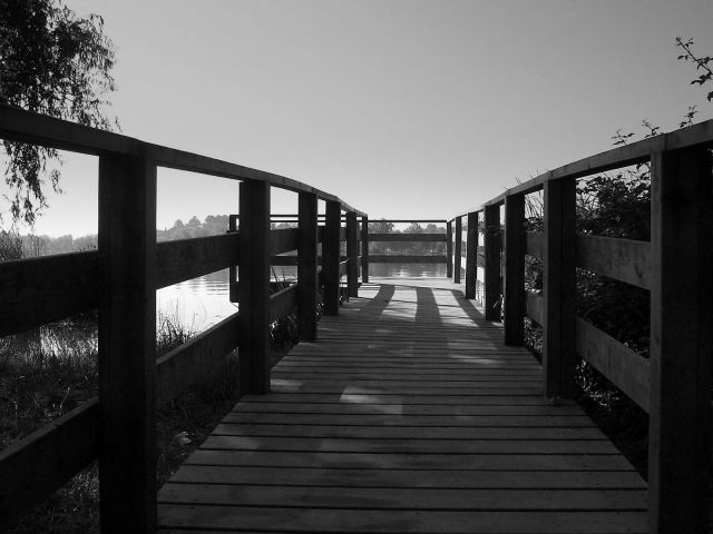 PUENTE....DE MADERA