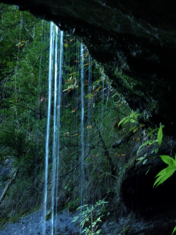 agua de lluvia