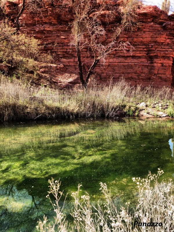 Aguas Verdes Miranda