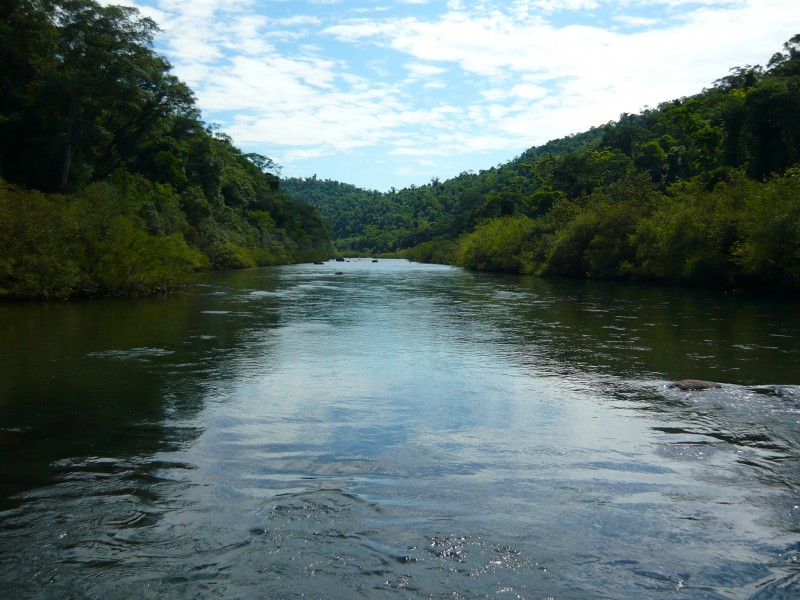 El sendero