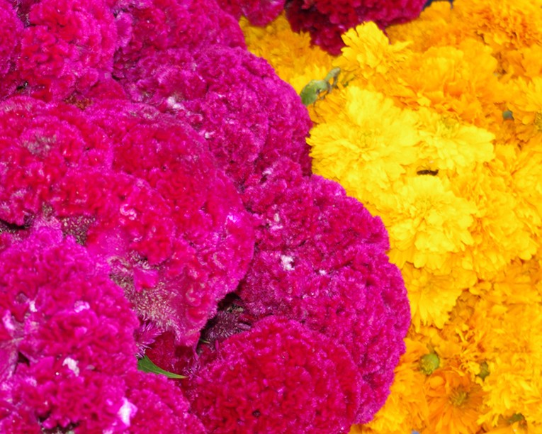 DIA DE MUERTOS 2010