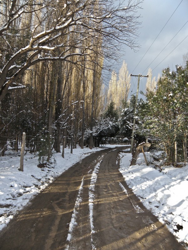Camino Invernal