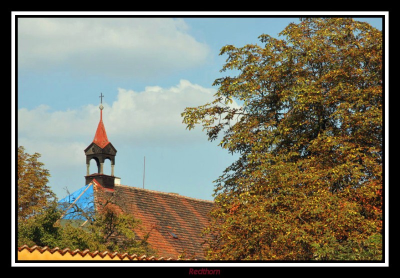 Tonalidades otoales junto a una torre de madera