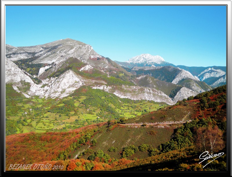 verde de monte