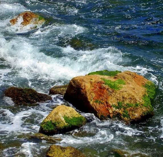 COLORES.....MEDITERRNEOS