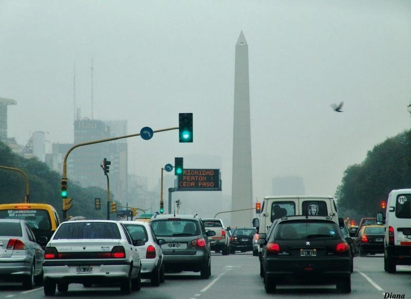  bajo la niebla