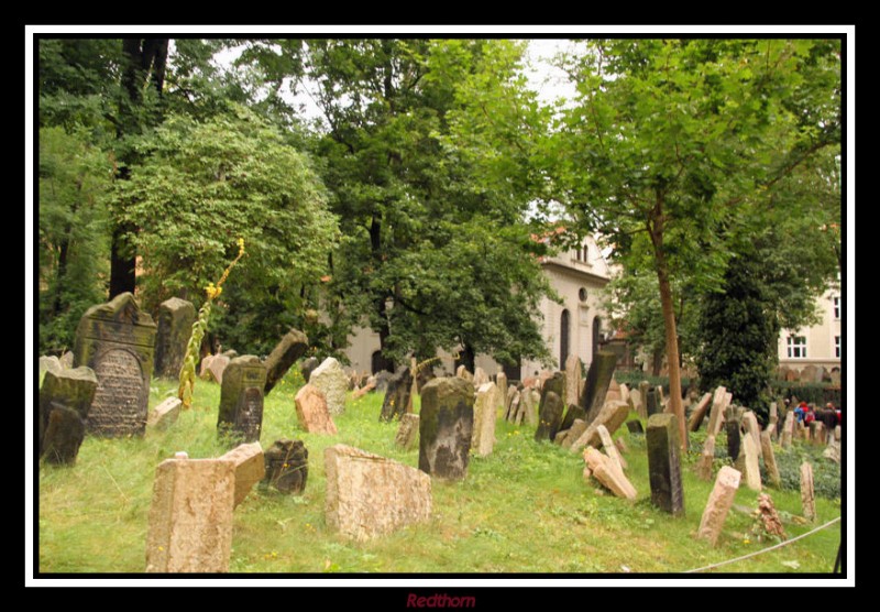 Cementerio judo