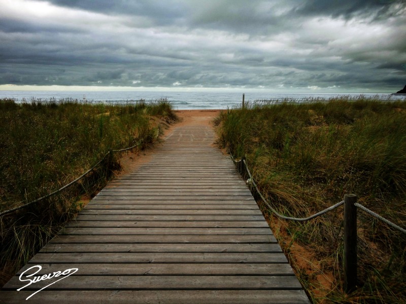 llegando al mar