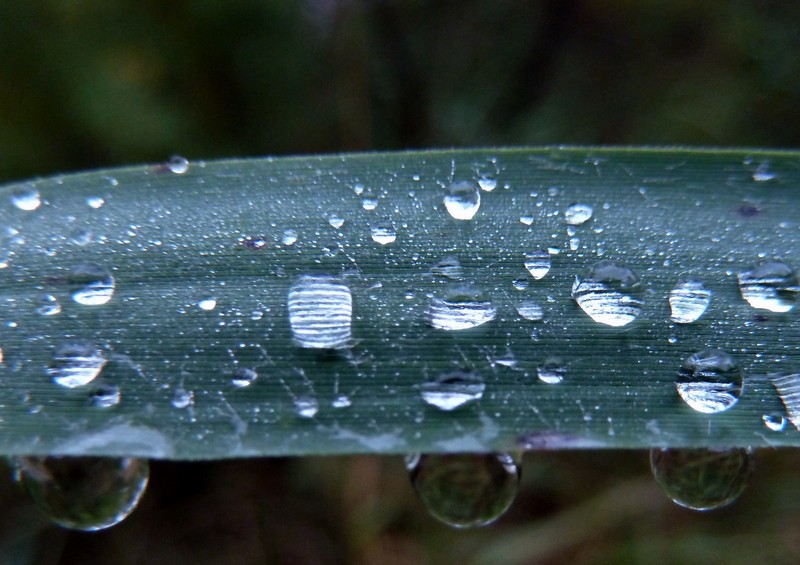 gotas de lluvia