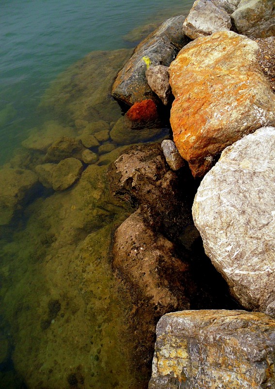 TRANSPARENCIAS....MEDITERRNEAS