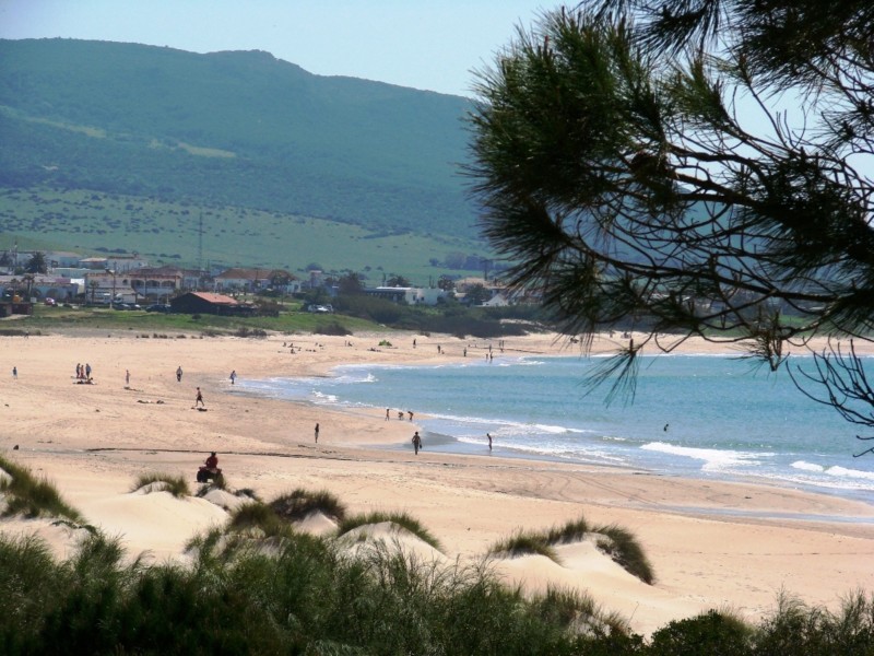 Vista desde el pinar