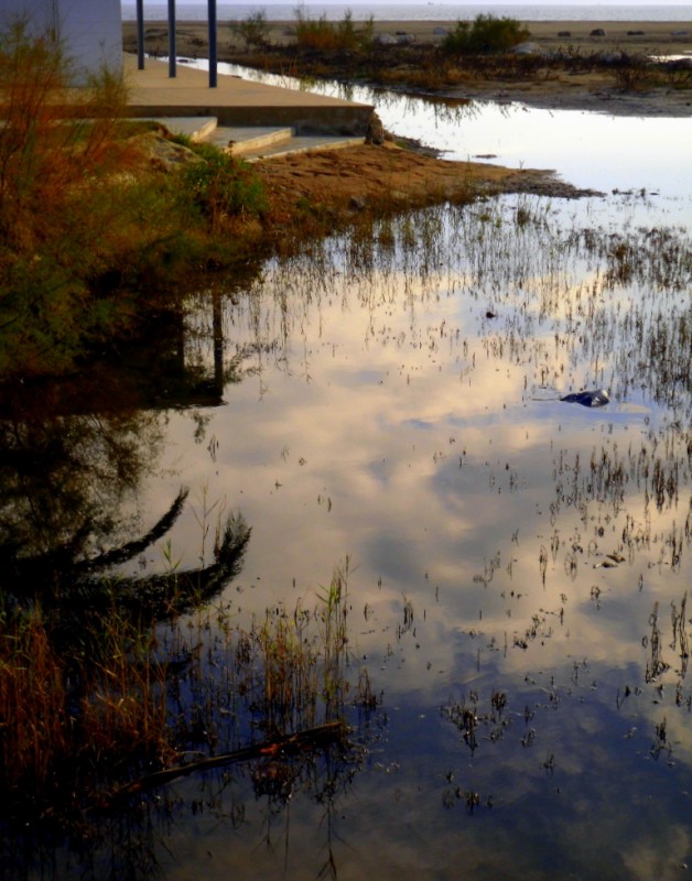 REFLEJOS....EXPRESIVOS