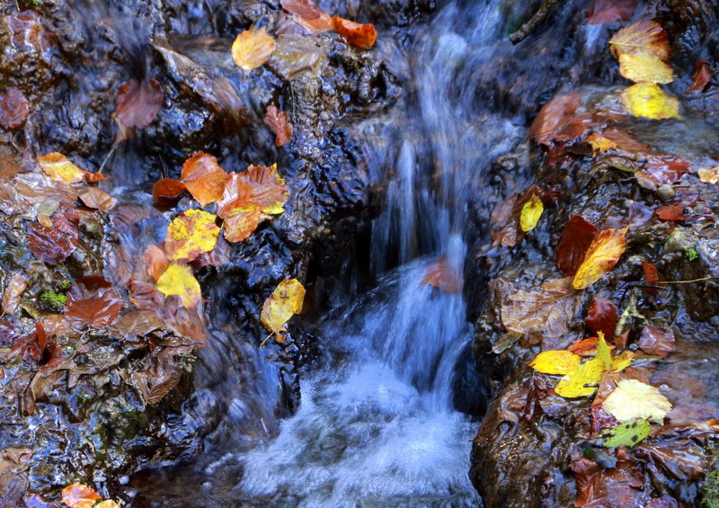 el agua que nos lleva