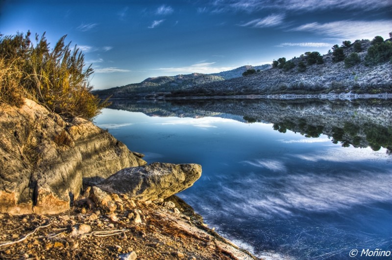 Pantano con altos contrastes