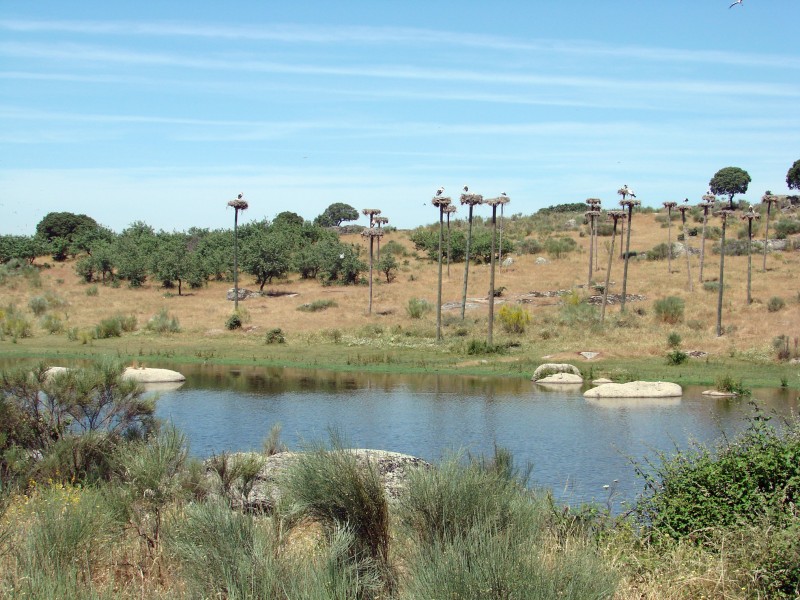 Monumento Natural Los Barruecos