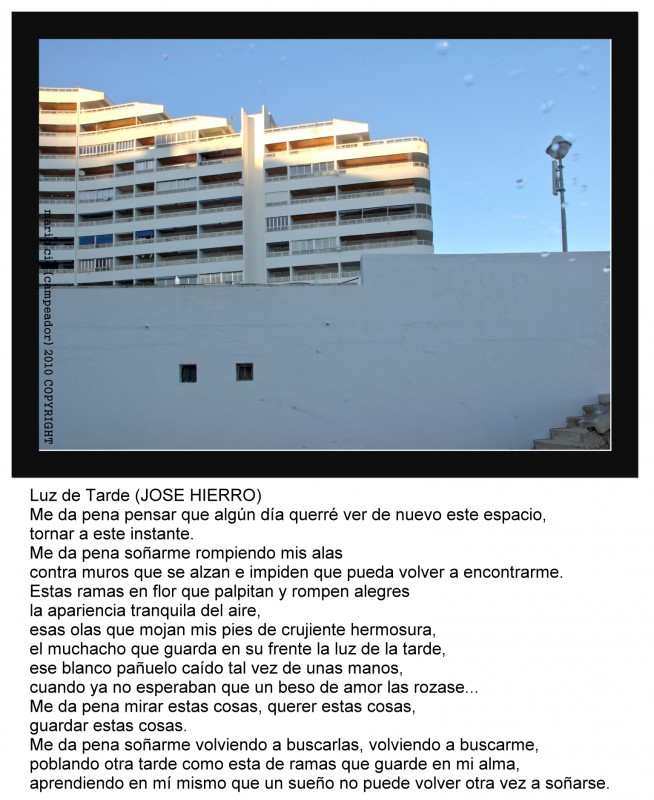 Luz de tarde