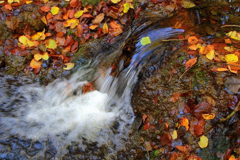 salto al vacio