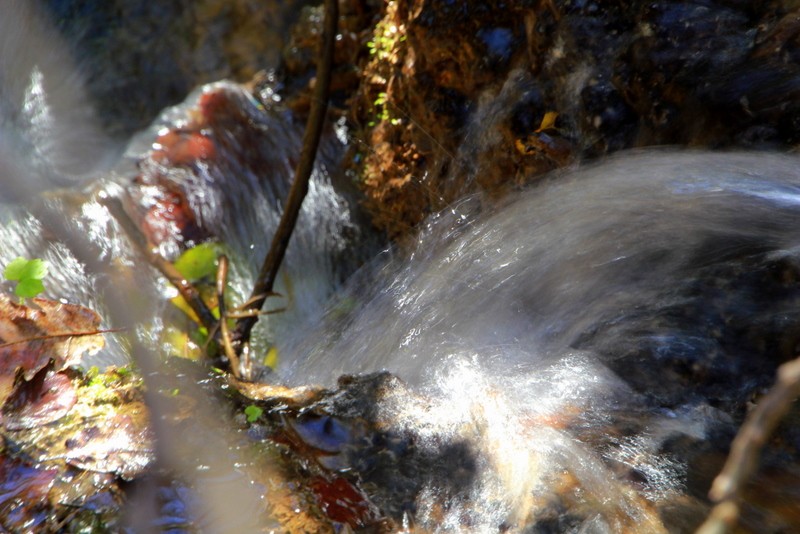 luz y agua