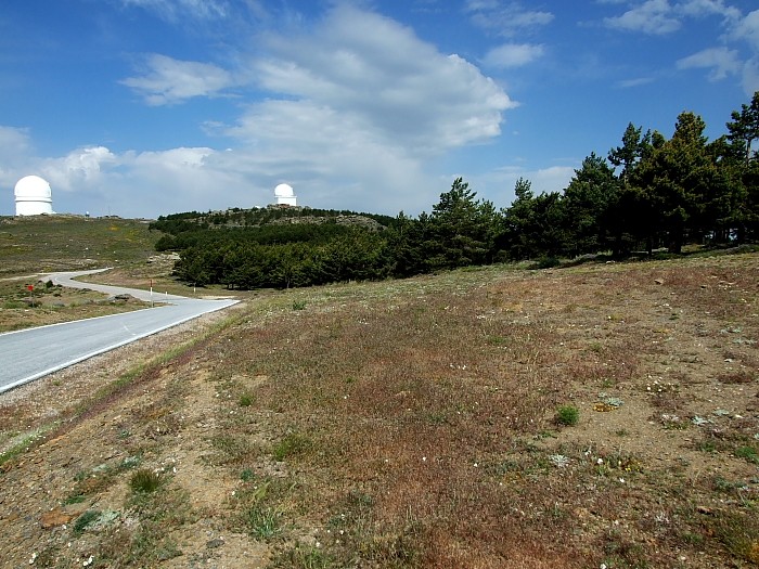 LA CARRETERA