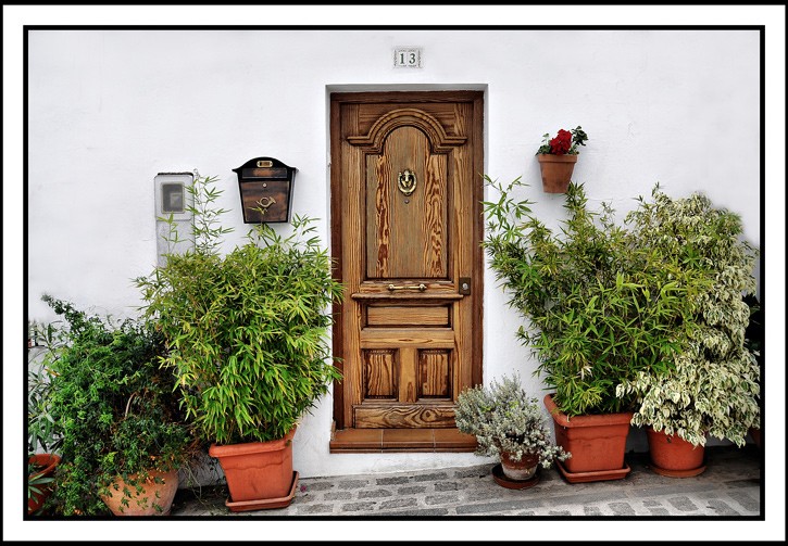 Alegria en Andalucia