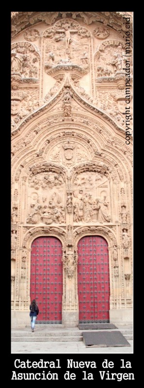 Detalle de la Catedral Nueva de la Asuncin de la Virgen (Salamanca)