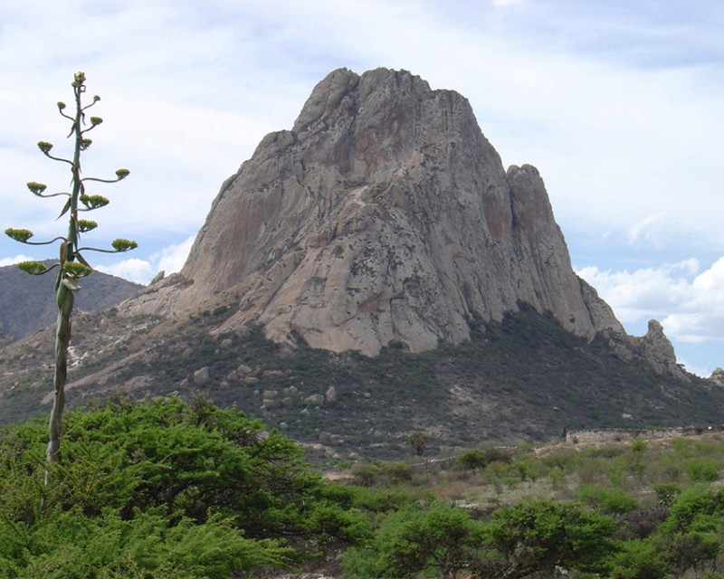 PEA DE BERNAL