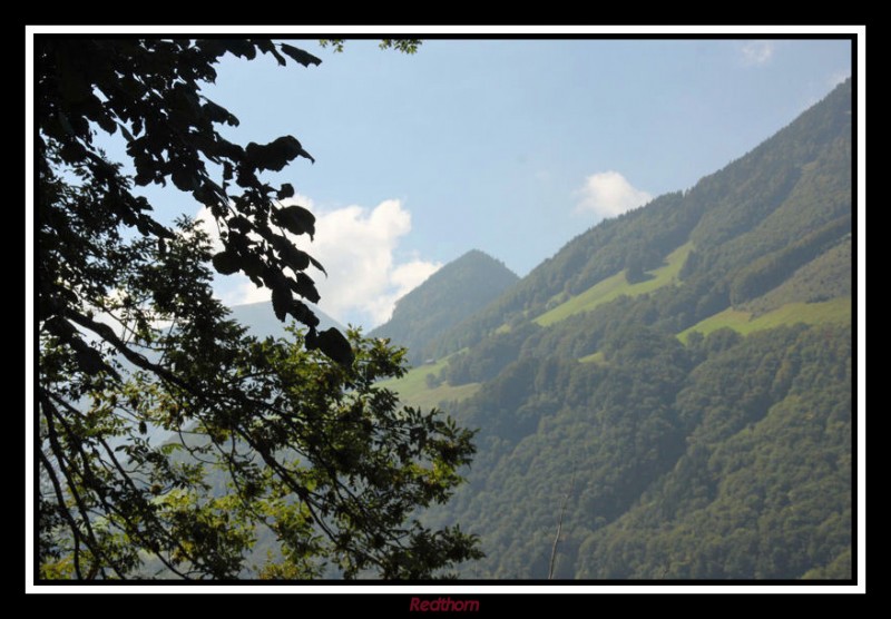 Los Alpes emergen en el horizonte