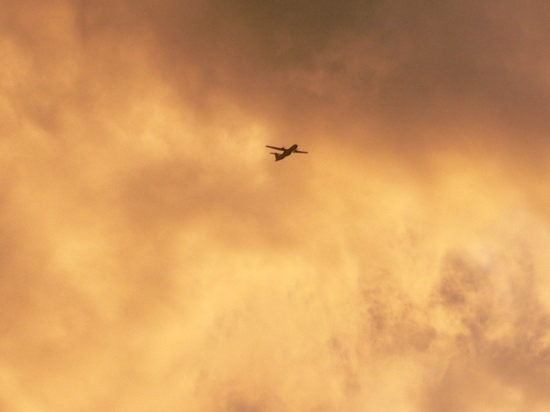 Pjaro en medio del atardecer