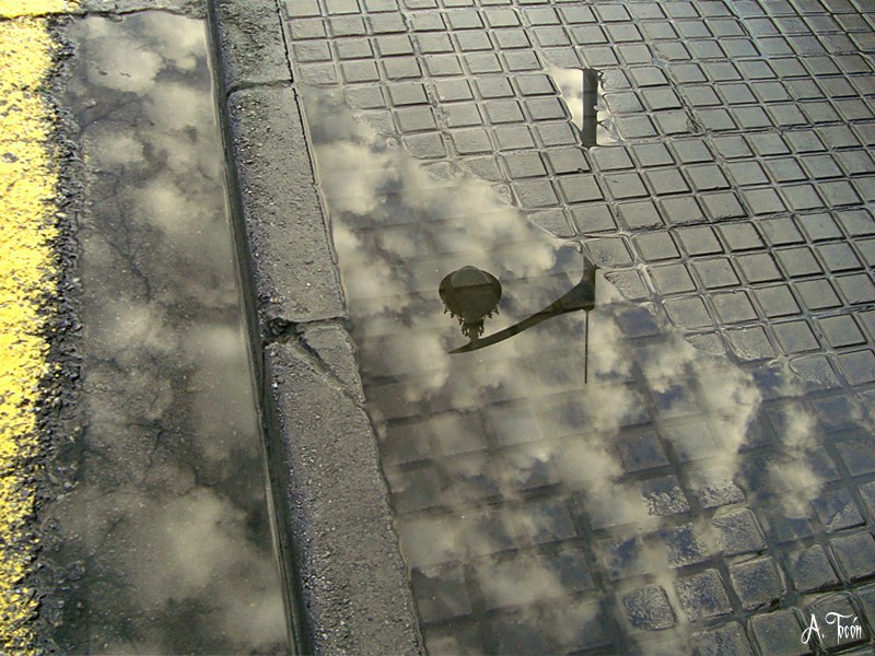 Reflejo14