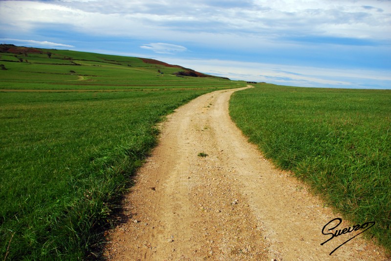 haciendo camino