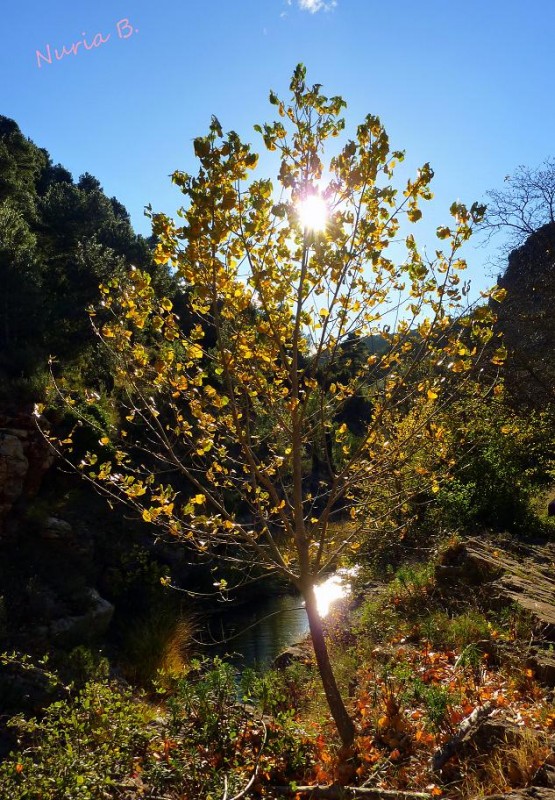 Recibiendo la luz