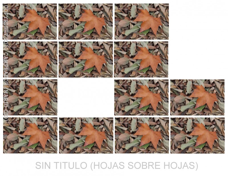 Sin ttulo (hojas sobre hojas)