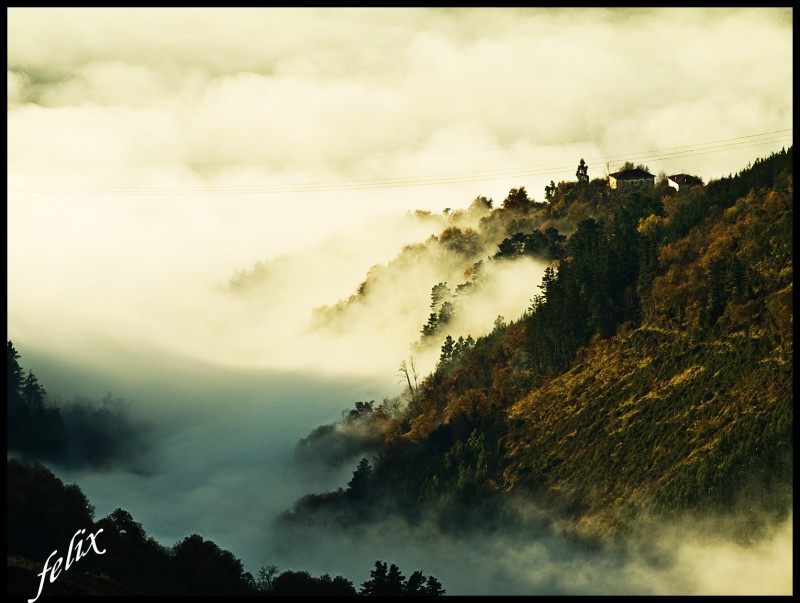 entre la niebla