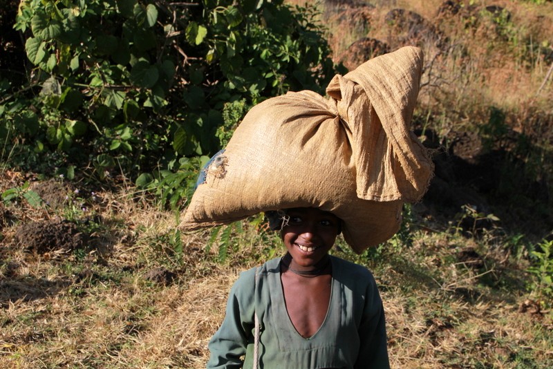 sombrero de grano