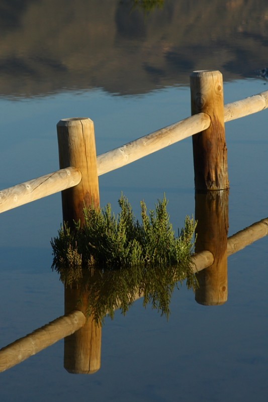 reflejos 