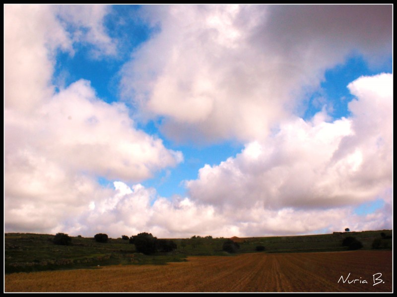 Campo de Castilla