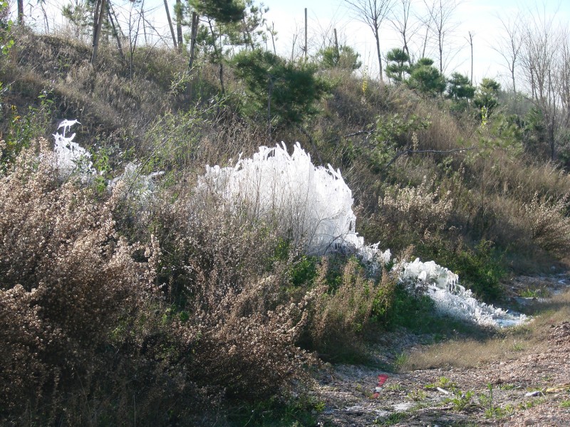 CAPRICHO DEL AGUA 