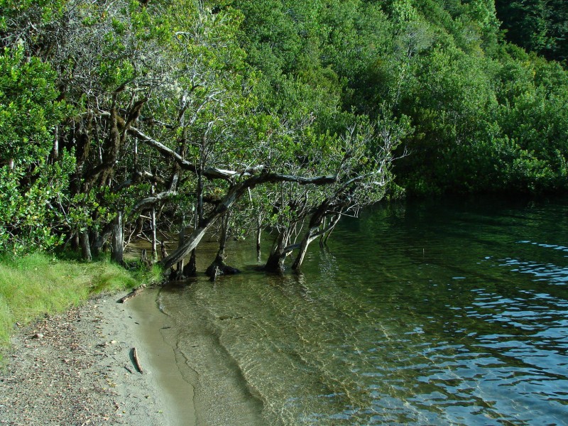 Parque Nacional Huerquehue