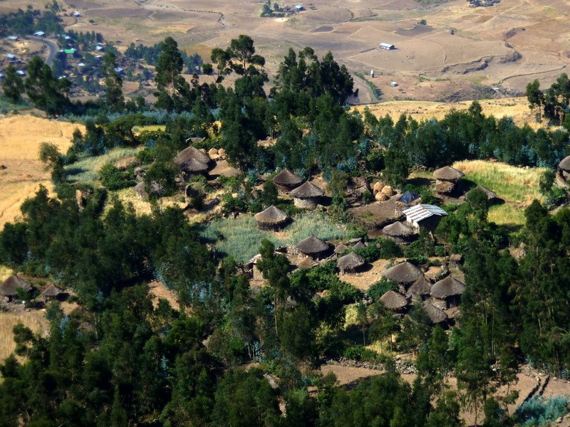 poblado Amara