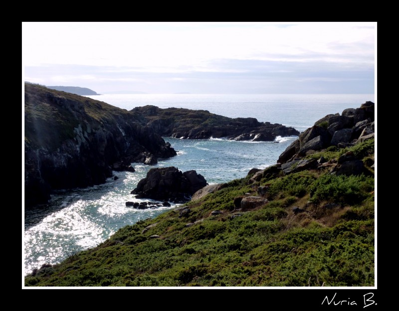 Pedra da herba.