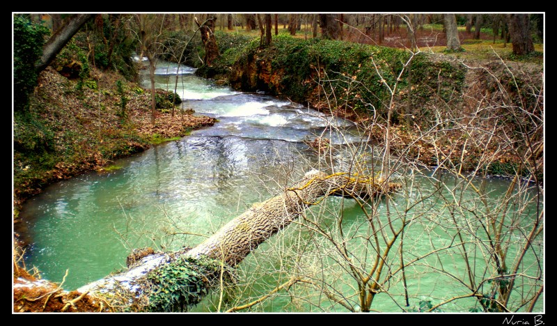 Paisaje en verdes