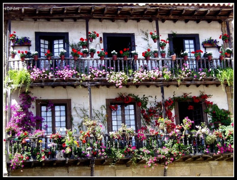 Flores en el balcon