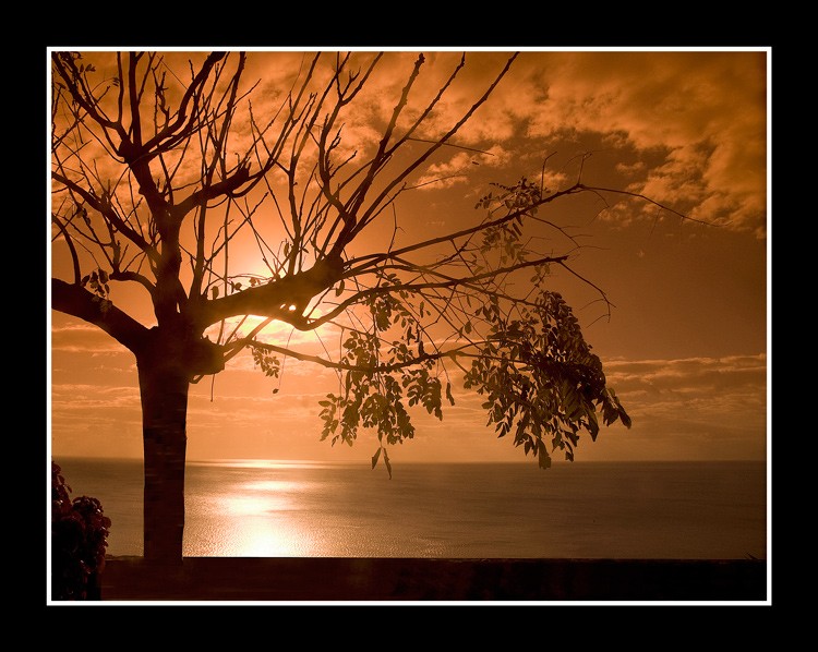 Resguardo del sol