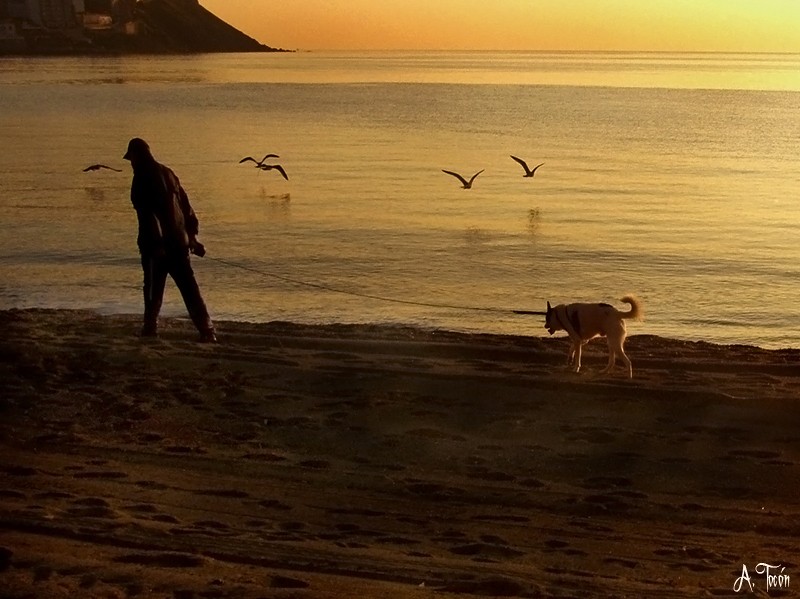 Paseo playero