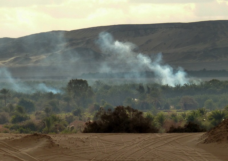 Palmeral de Bahariya