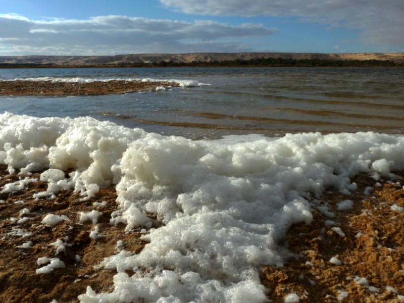 espuma natural