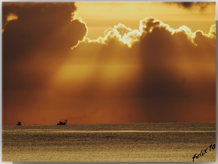 pescando al amanecer